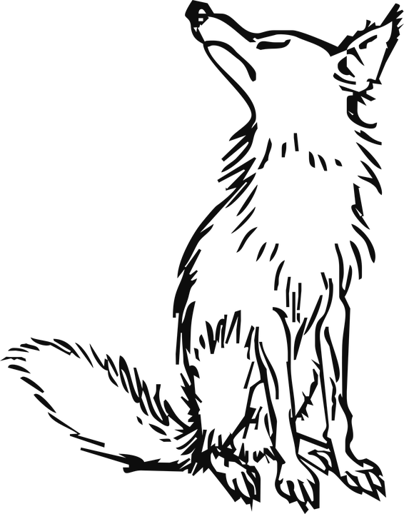 Wolf Png Clipart - Drawing The Fox And The Grapes Story (566x720), Png Download