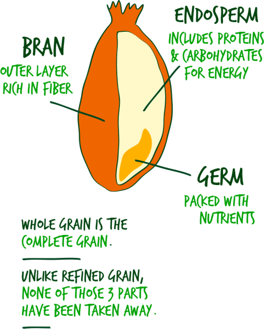 Illustration Of A Whole Grain - Orange (540x672), Png Download