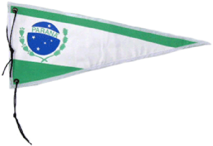 Bandeira Para Antena Jeep / Bandeira Estado Paraná - Umbrella (800x800), Png Download