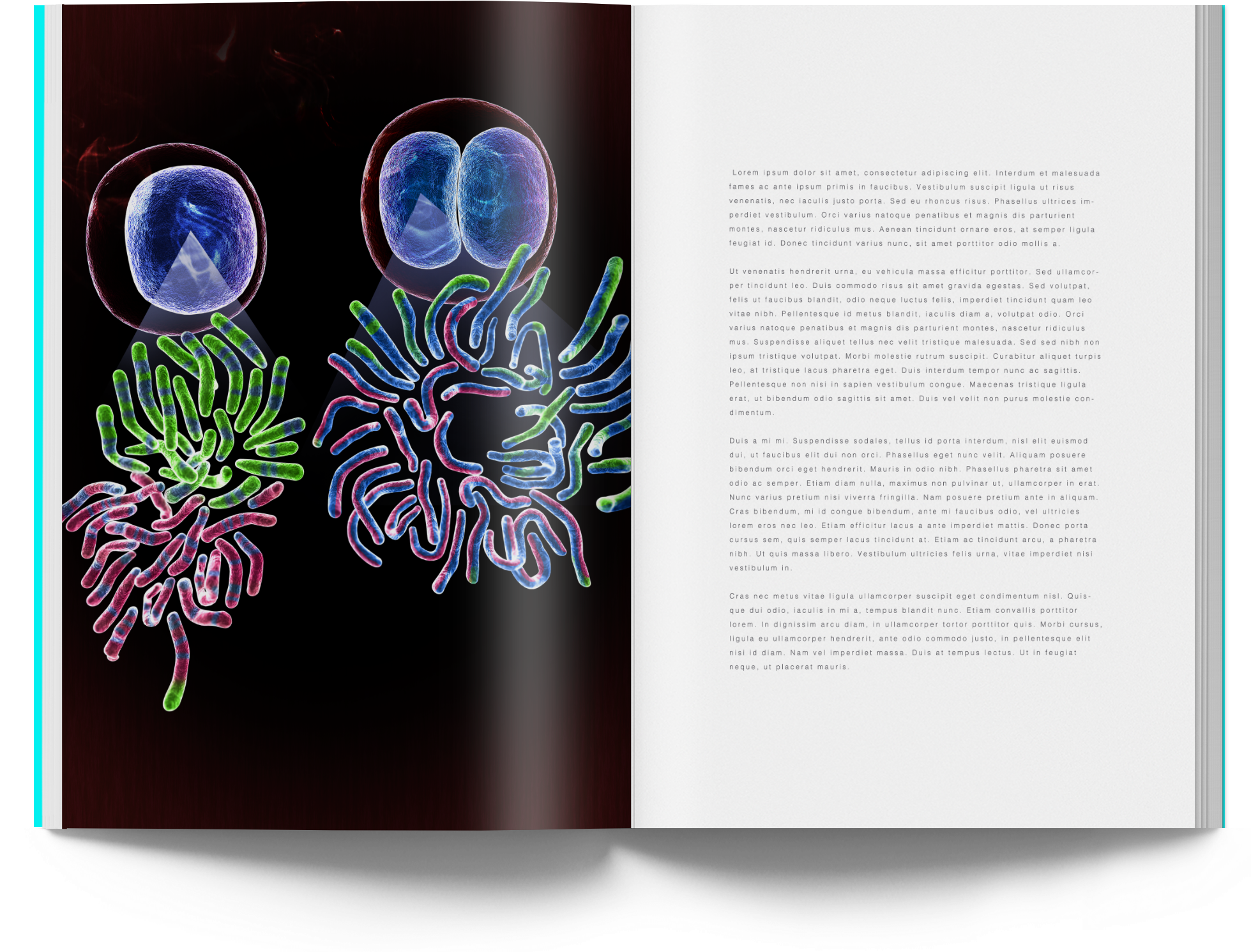 Chromosome Cover Art - Graphic Design (1984x1552), Png Download