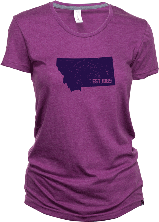 Aspinwall Est1889 Montana T Shirt Field Berry - Active Shirt (672x800), Png Download