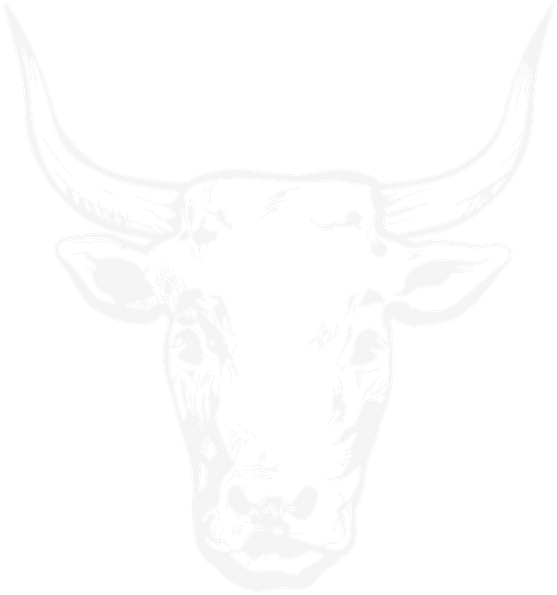 White Fbp Head - Bull (900x900), Png Download