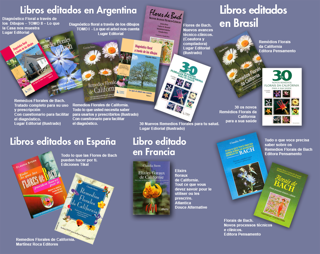 Libros - - Flyer (1024x812), Png Download