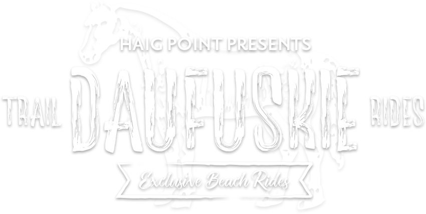 Cooper River Stables Daufuskie Island Trail Rides Exclusive - Calligraphy (850x427), Png Download