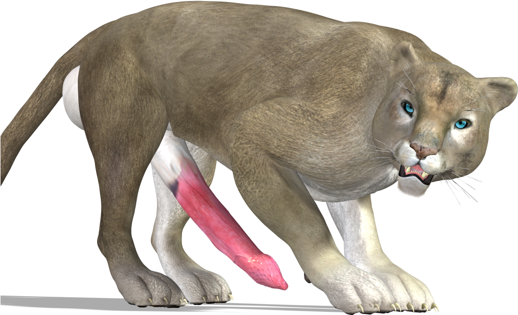Cougar Png - Cougar (1028x679), Png Download