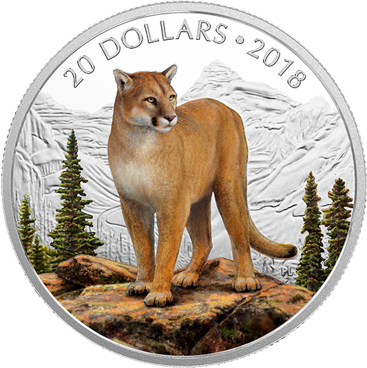 X164726 Rev-570 - Coin (570x570), Png Download