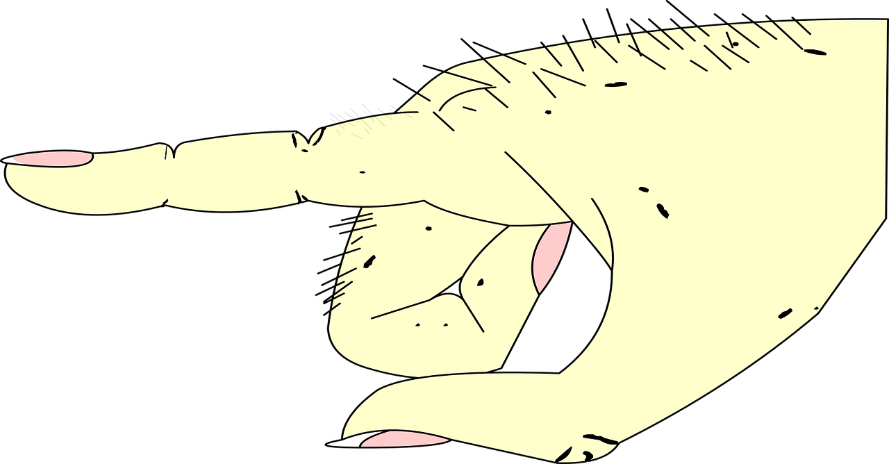 Hand (1280x668), Png Download