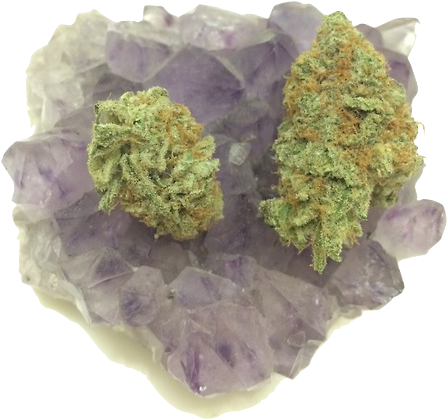 Moss (500x667), Png Download