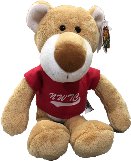 Plush Cougar - Teddy Bear (500x643), Png Download