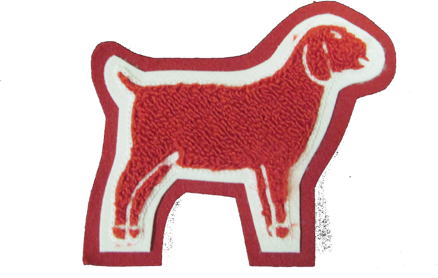 Goat - Bull (1000x1000), Png Download