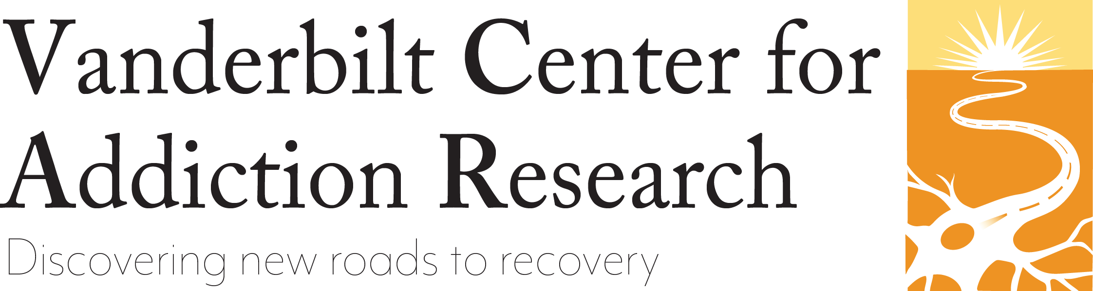 Vcarlogo Postersprints - Vanderbilt Center For Addiction Research (2244x598), Png Download