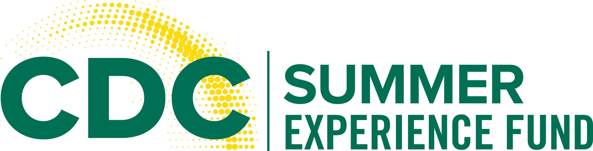 Cdc Summer Experience Fund - Graphic Design (2100x600), Png Download