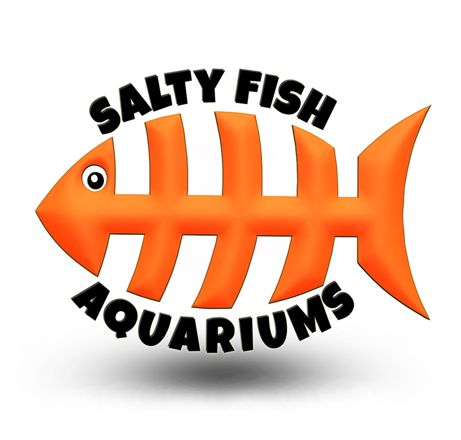 Salty Png (941x927), Png Download