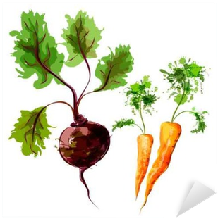Set Of Vector Watercolor Vegetables - Vegetable (400x400), Png Download