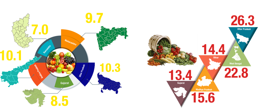 Top 5 Fruits & Vegetables Producing States - Complete Vegetable And Herb Collection Of More Than (900x379), Png Download