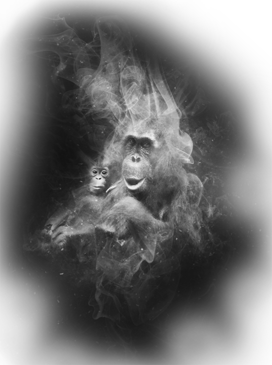 Upinsmoke3 - Grammar School (544x729), Png Download