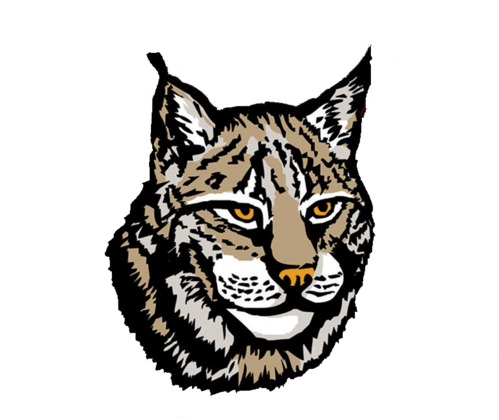 Lynx Png Image - Lynx Png (500x480), Png Download