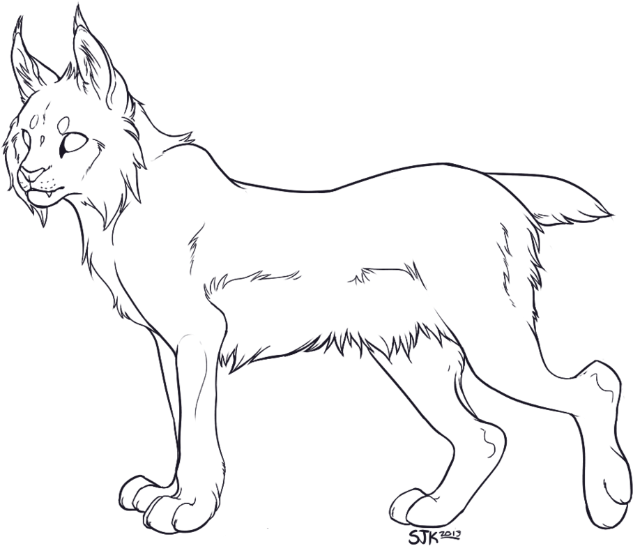 Transparent Base Lynx Clip Transparent Download - Lynx Lineart (986x810), Png Download