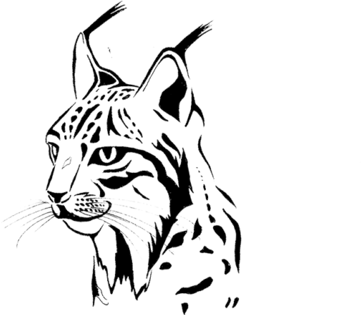 Illustration (800x600), Png Download