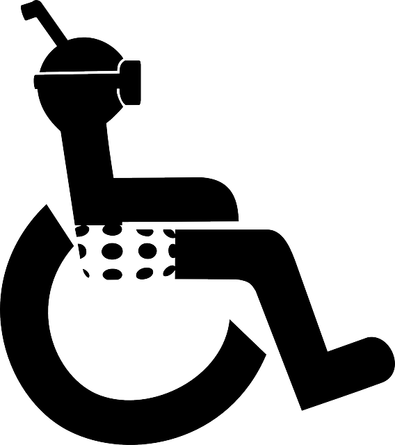 Diver, Disabled, Wheel Chair, Wheelchair, Chair Bound - Pictograma Silla De Ruedas (568x640), Png Download