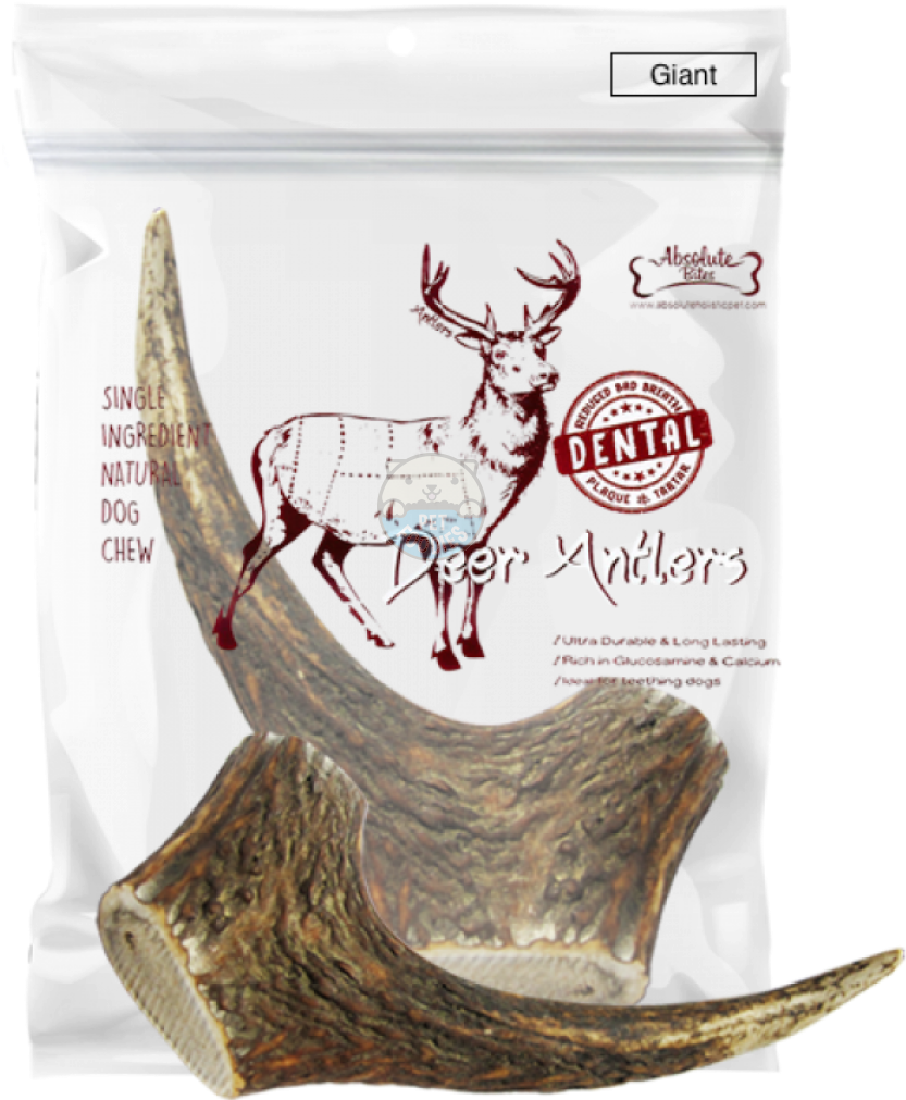 Absolute Bites Whole Deer Antlers Dental Chew - Absolute Bites Whole Deer (1200x1200), Png Download