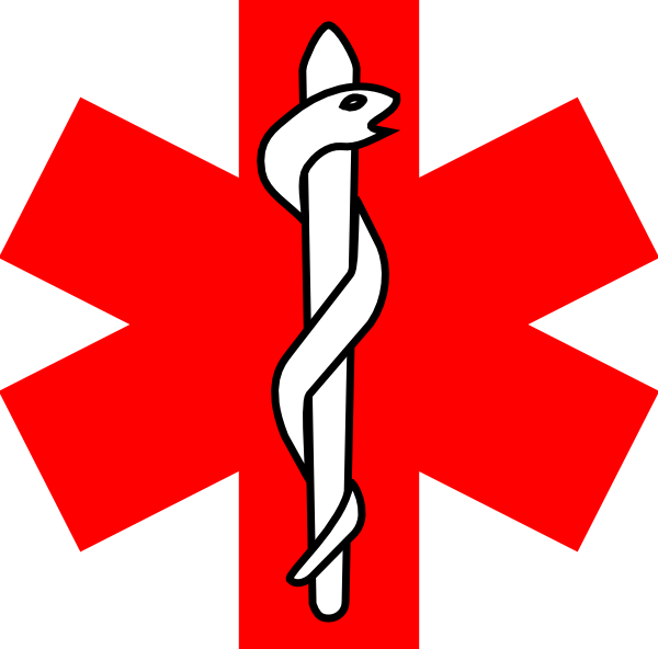 Red Cross Clipart Paramedic - Red Cross With Snake (600x592), Png Download