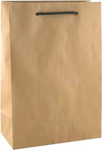 Paper Bags - Brown Paper Carry Bag (400x548), Png Download