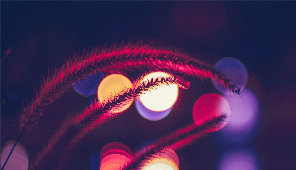 Score 50% - Night Light Bokeh (1000x1000), Png Download