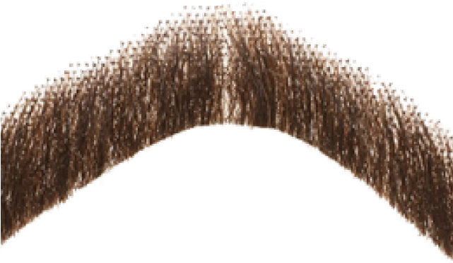 Moustache Png Transparent Images - Moustache Transparent Background (640x480), Png Download
