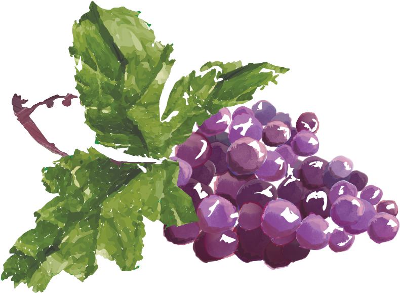 Grapes (800x586), Png Download