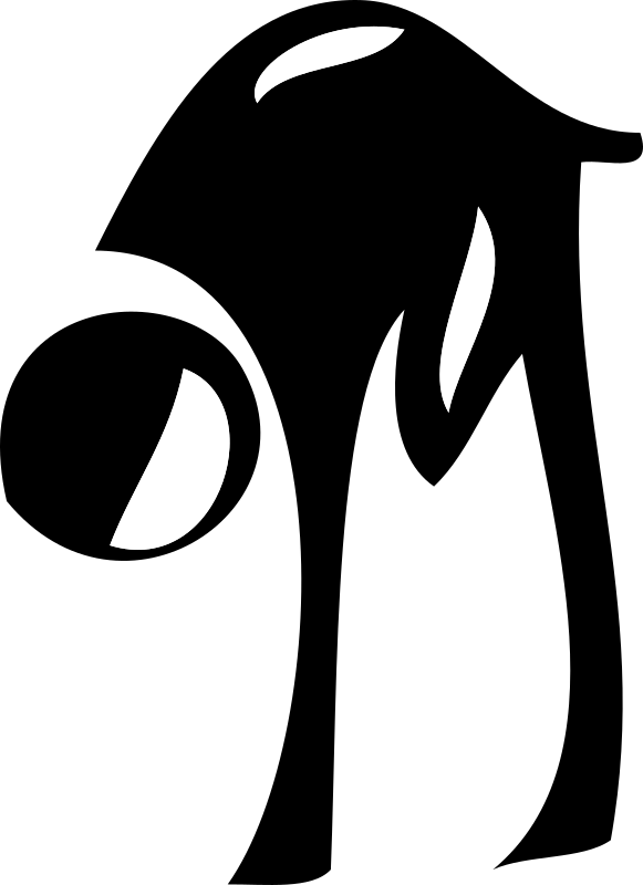 Medium Image Png - Gymnastics (581x800), Png Download