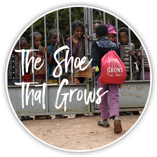 The Shoe That Grows - Toddler (600x600), Png Download