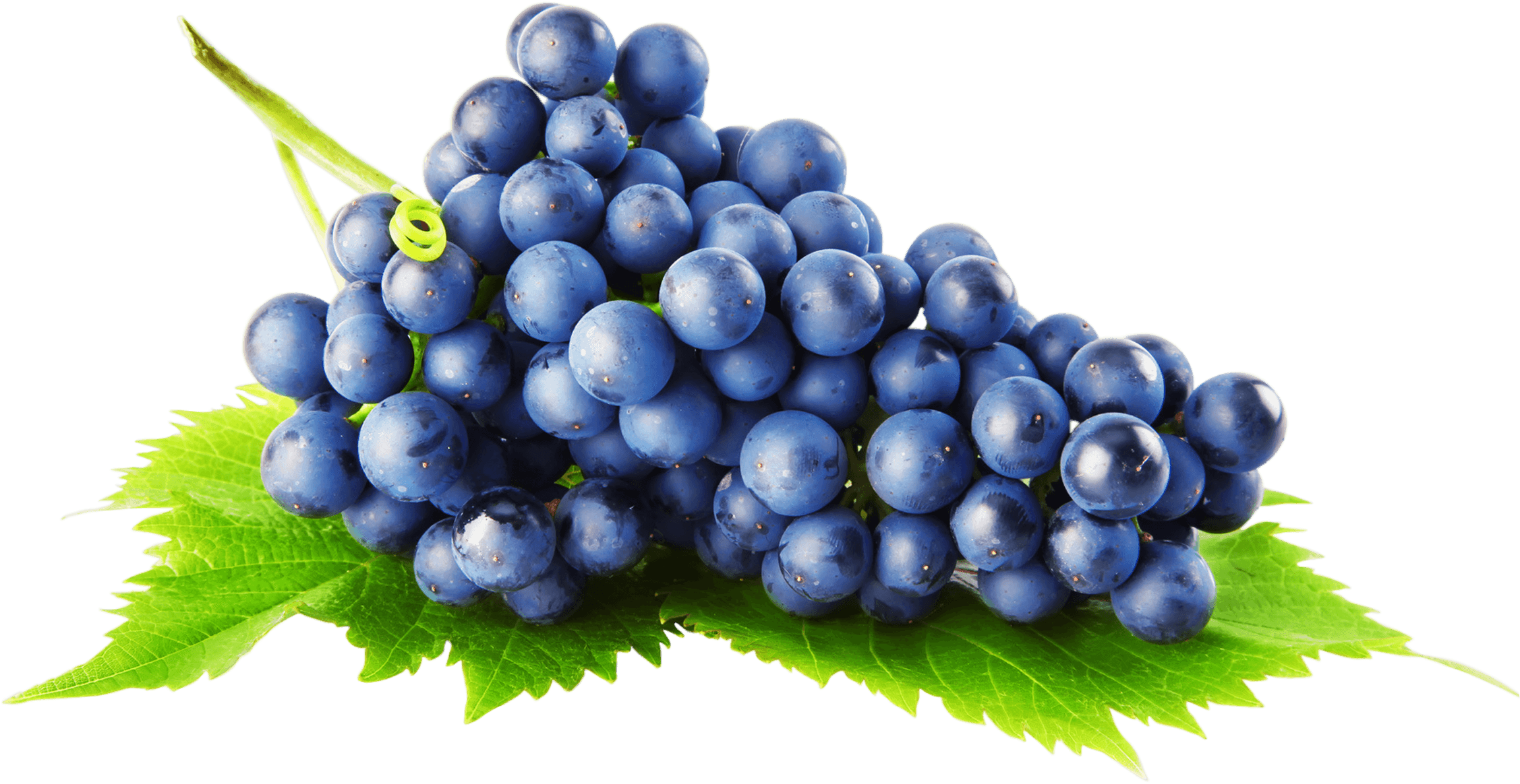 Black Grapes Png Image Background - Png Grapes (2254x1164), Png Download