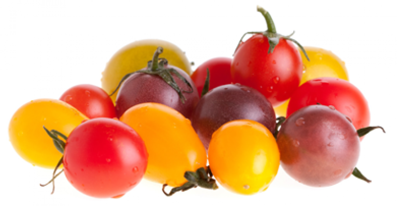 Tomatoes Clipart Tomato Crop - Cherry Tomatoes (800x800), Png Download