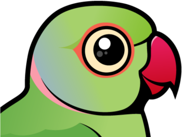 Rose-ringed Parakeet (640x480), Png Download