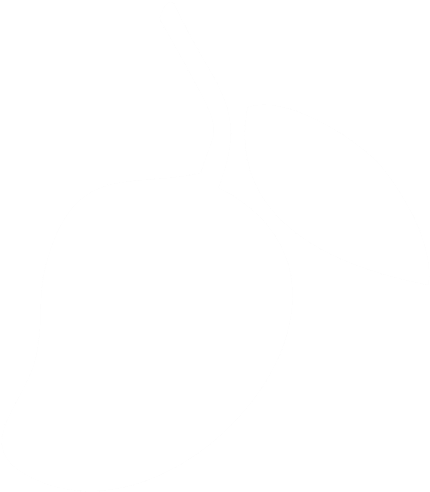 The King Of Fruits - Mango Icon White (601x591), Png Download