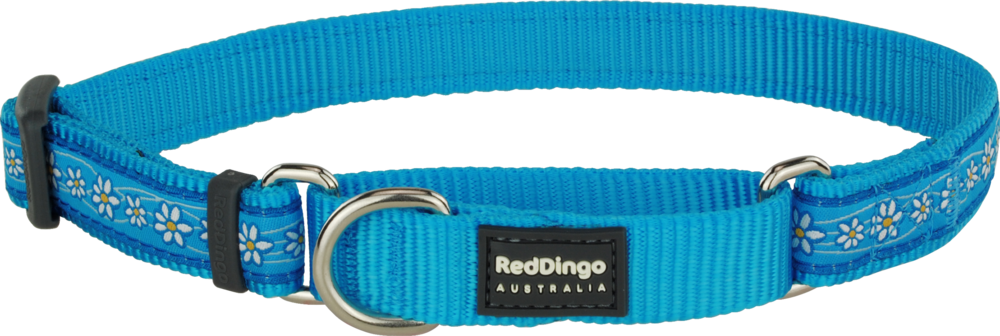 Martingale Daisy Chain Turquoise Designer Dog Collar - Belt (1000x336), Png Download