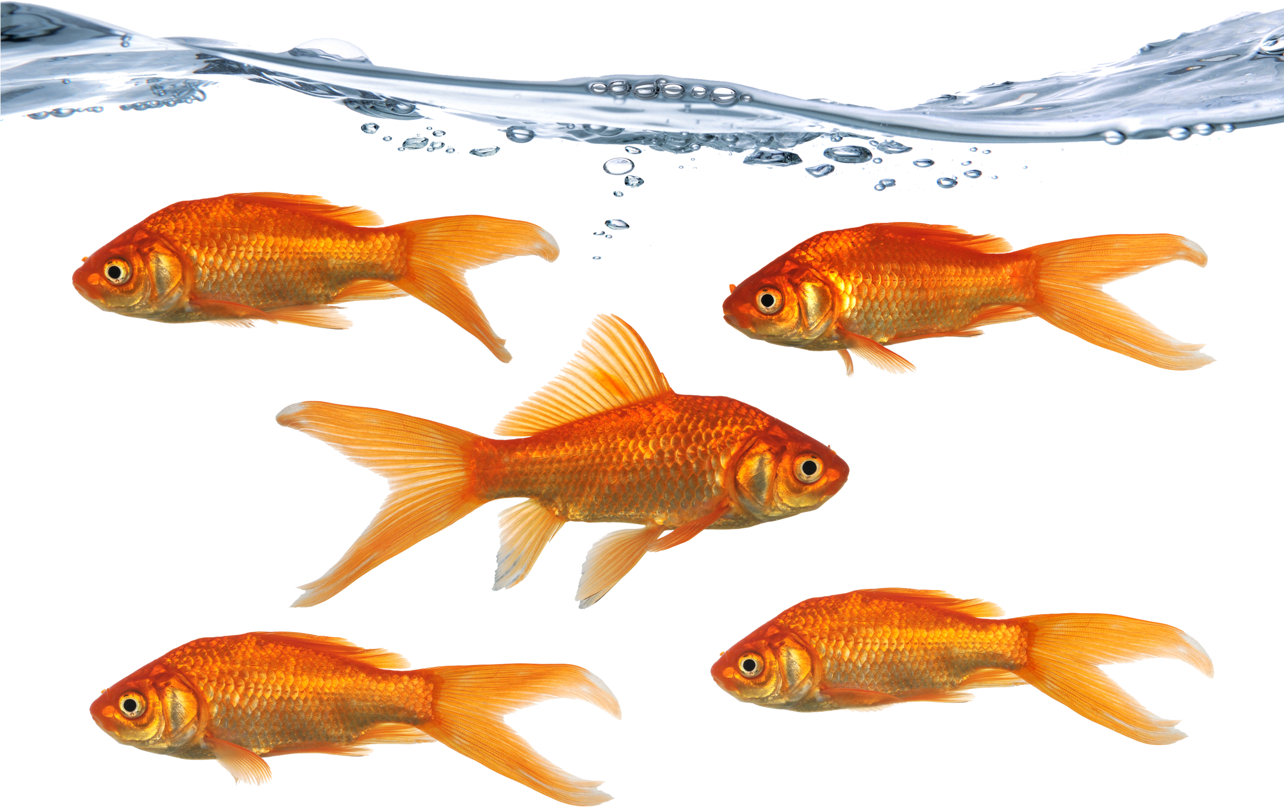 Different Directions (2500x2500), Png Download