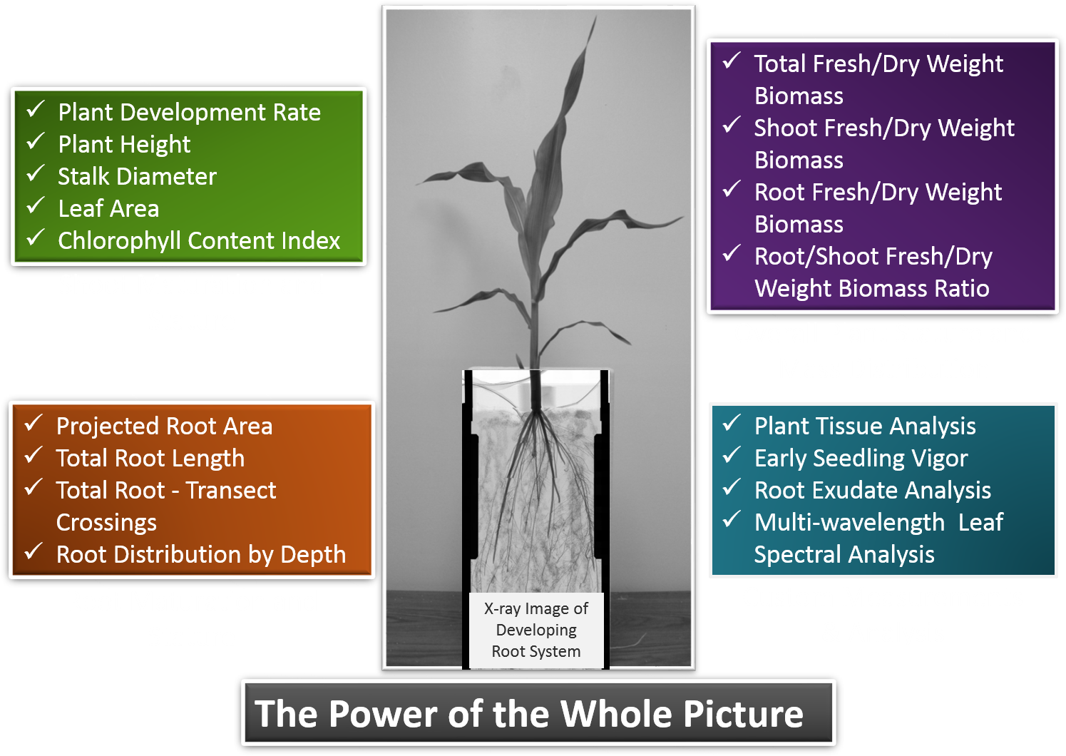 The Power Of The Whole Picture - Trophy (1511x1092), Png Download