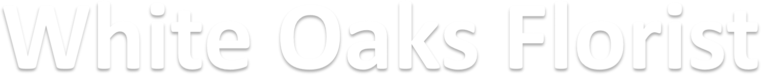 Darkness (1780x440), Png Download