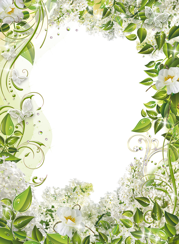 R16 07 Mar 2015 - Lily Family (600x818), Png Download