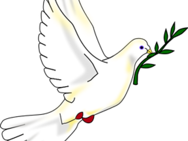 Pigeon Clipart Jesus - Doves Peaces (640x480), Png Download