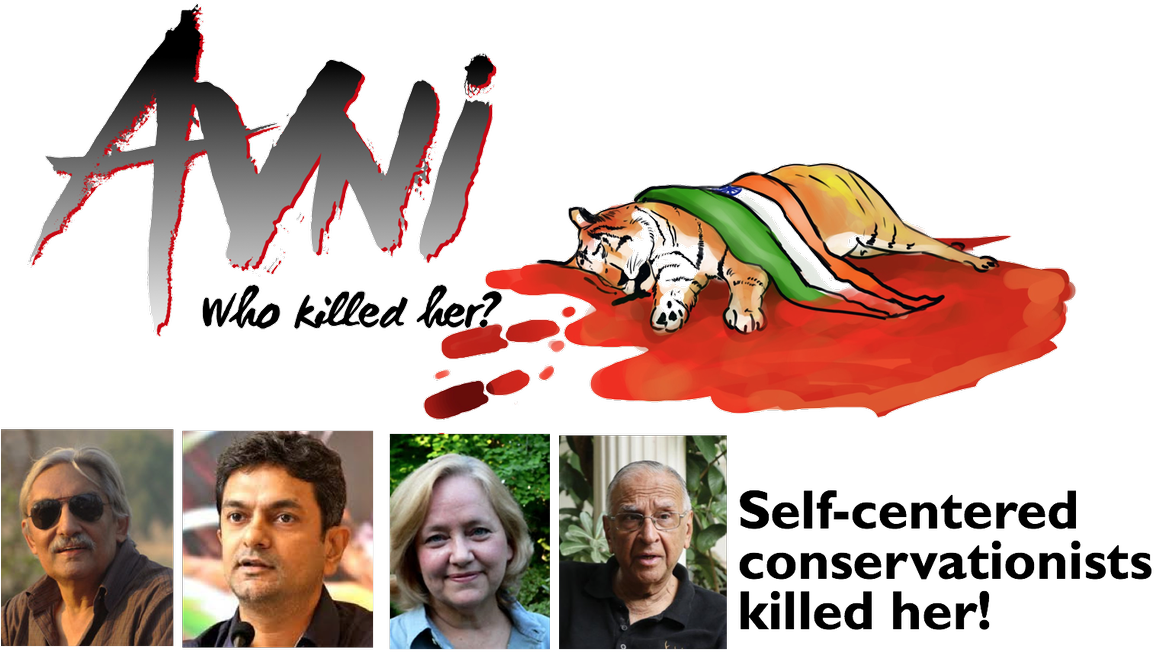 Anand Siva - Belinda Wright Save Tiger (1200x679), Png Download