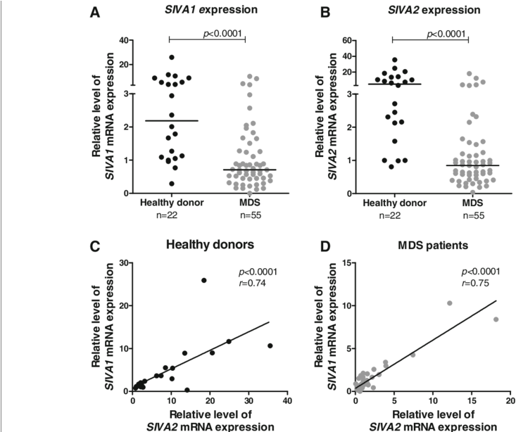 Siva1 And Siva2 Expression In Bone Marrow Cells From - Diagram (850x613), Png Download