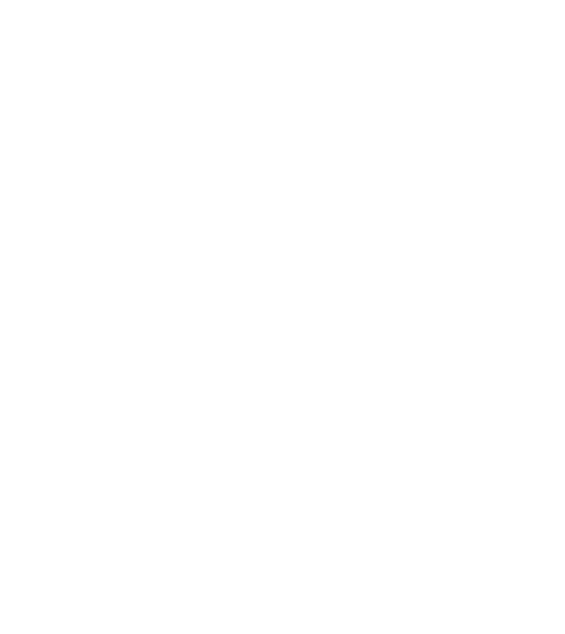 Touch The Icons To Find Out More - Png Format Twitter Logo White (816x971), Png Download