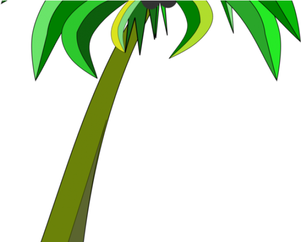 Plant Clipart Coconut Tree - Clip Art (640x480), Png Download