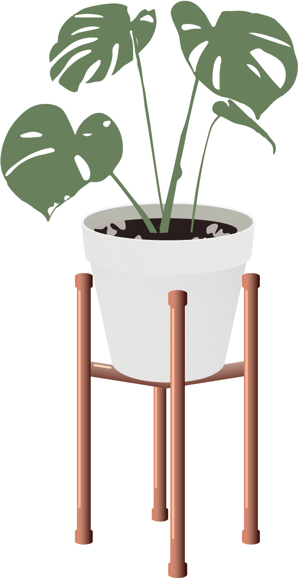 Vector Indoor Plants - Interior Design (886x1537), Png Download