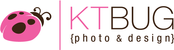 Kt Bug Photography Mn (792x612), Png Download