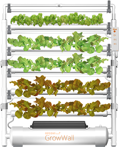 Shelf (600x600), Png Download