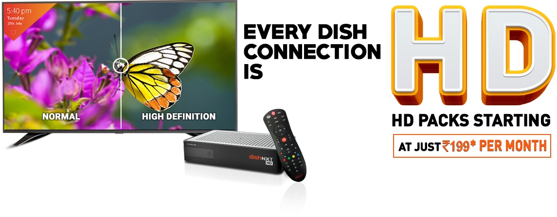 Monarch Butterfly (1145x447), Png Download